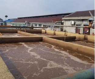 出水氨氮大于進(jìn)水氨氮，怎么回事？