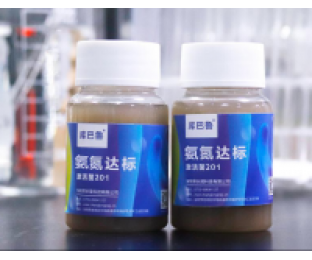 生化系統(tǒng)崩潰，氨氮超標(biāo)，我該怎么辦?